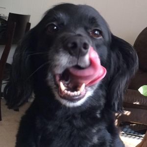 Meet your Posher, Shawn